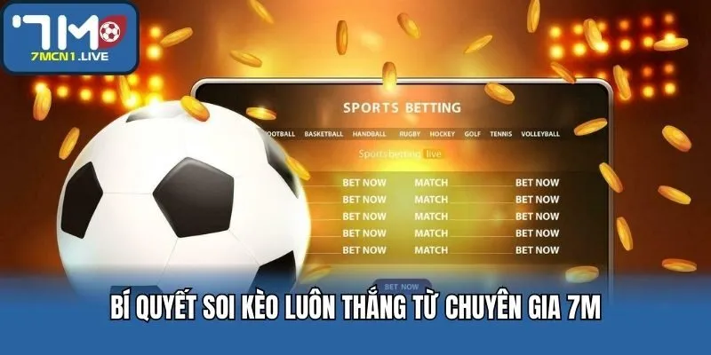 Bí quyết soi kèo luôn thắng từ chuyên gia 7M