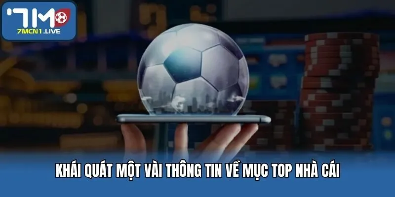 Khái quát một vài thông tin về mục top nhà cái
